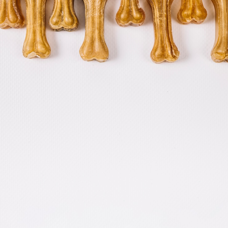 Foto gratuito composizione delle ossa da masticare del primo piano