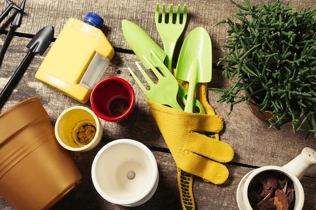 Composizione di attrezzi da giardino