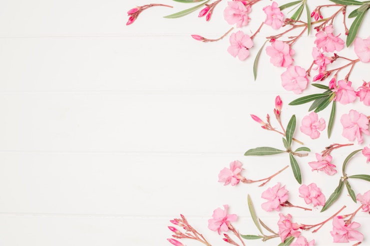 Foto gratuito composizione di bellissimi fiori e piante rosa