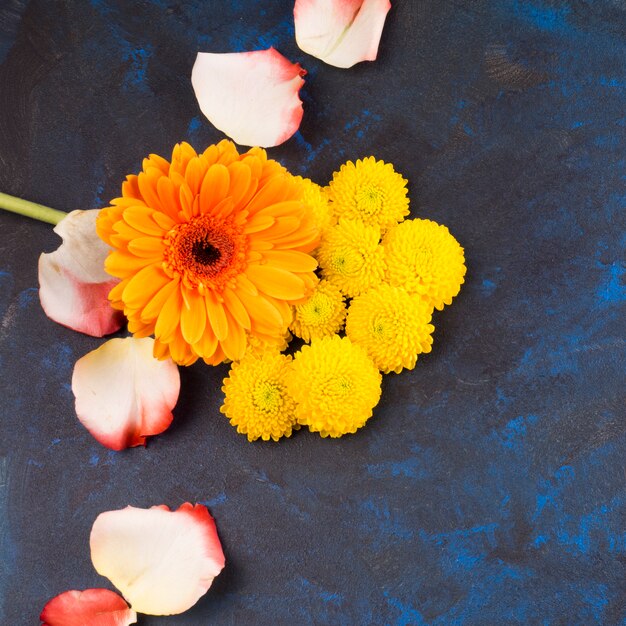 Composizione di fiori gialli e petali di rosa