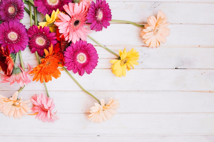 Foto gratuito composizione di fiori morbidi