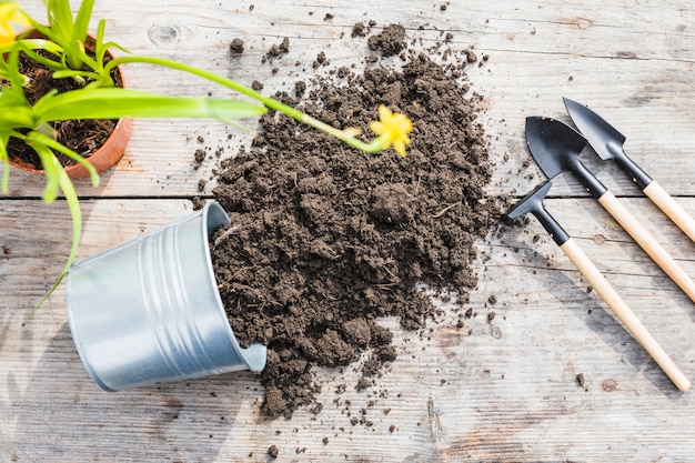 Composizione di giardinaggio piatta