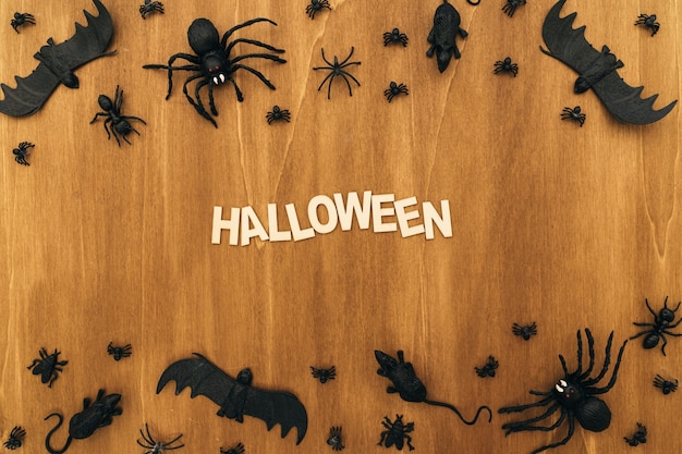 Composizione di Halloween con insetti