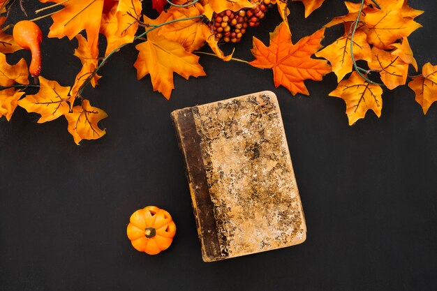 Composizione di Halloween con libro e foglie