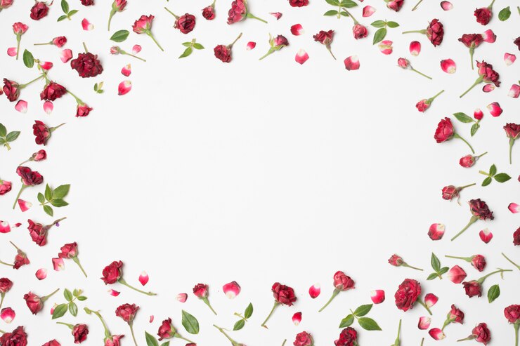 Foto gratuito composizione di meravigliosi fiori rossi e foglie verdi