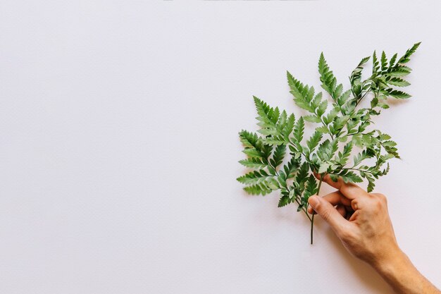 Composizione floreale con mano e foglie