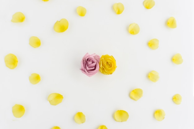 Composizione floreale con petali gialli