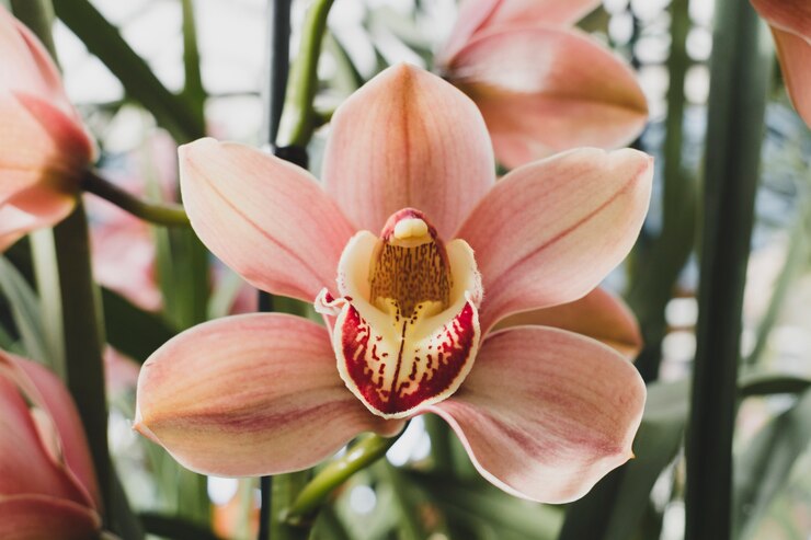 Foto gratuito composizione floreale con stile elegante