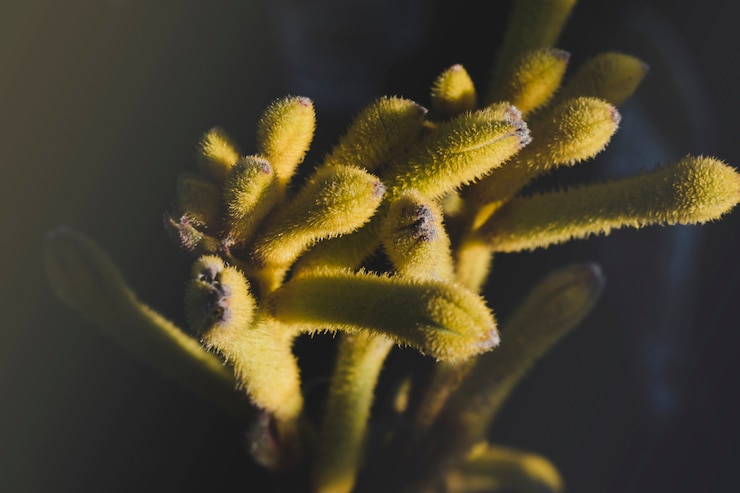 Foto gratuito composizione floreale moderna con stile elegante