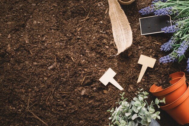 Composizione giardinaggio con spazio a sinistra