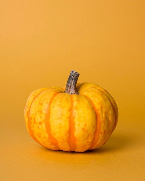 Composizione monocromatica di natura morta con la zucca