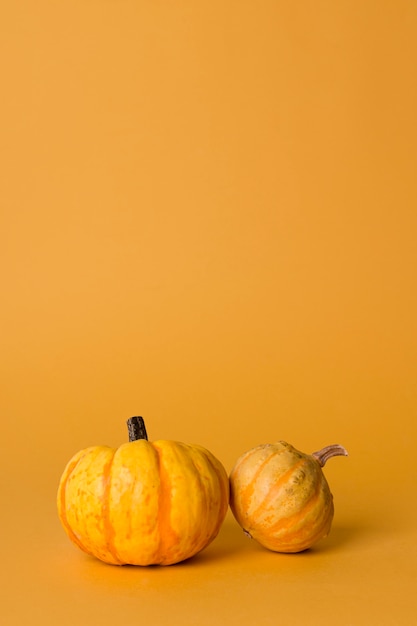 Composizione monocromatica di natura morta con la zucca