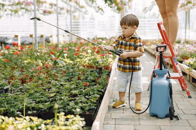 Concentrati su un ragazzino con uno spruzzatore d'acqua nella serra. Piccolo bambino che innaffia i fiori in una serra