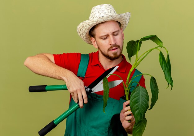 Concentrato giovane giardiniere slavo bello in uniforme e cappello che tiene pianta e tagliarlo con potatori isolati sulla parete verde oliva