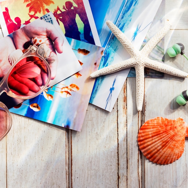 Concetto della spiaggia di memorie di immagini dei Seashells delle stelle marine delle immagini