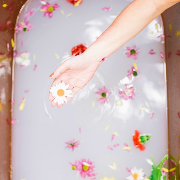 Concetto della stazione termale con i fiori in vasca da bagno