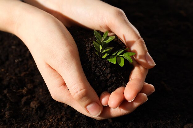 Concetto di ambiente per la Giornata della Terra e concetto di Eco