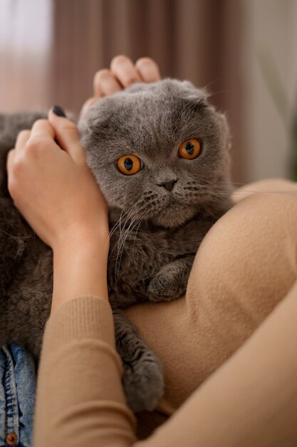 Concetto di animali domestici, mattina, comfort, riposo e persone