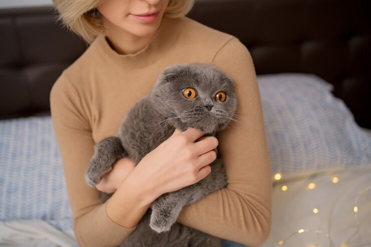 Foto gratuito concetto di animali domestici, mattina, comfort, riposo e persone