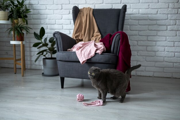 Concetto di casa sporca con vestiti su sedia e pavimento