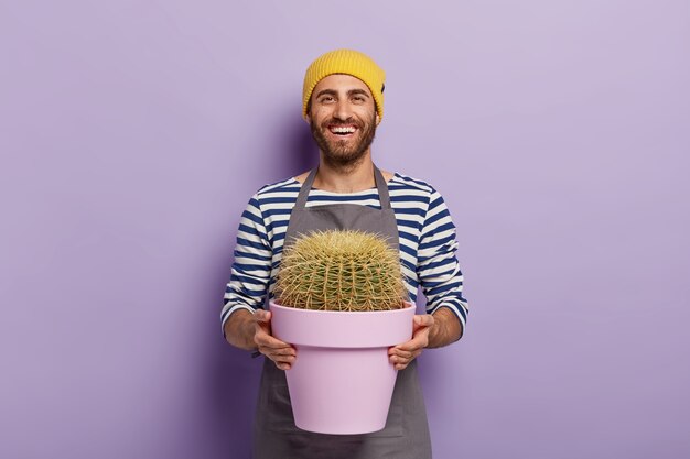 Concetto di cura delle piante. Giardiniere maschio felice tiene vaso con cactus, vestito con maglione a righe e grembiule, essendo di buon umore