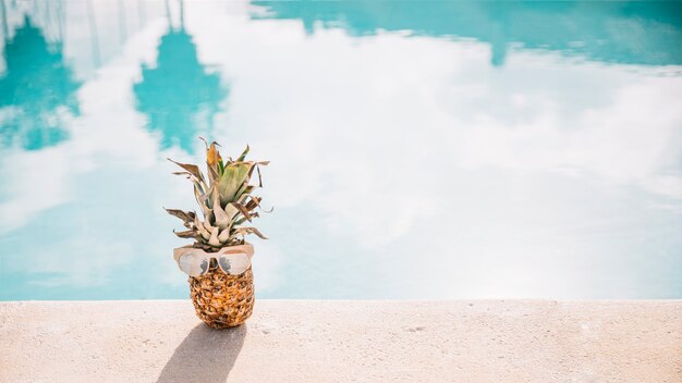 Concetto di estate e piscina con ananas