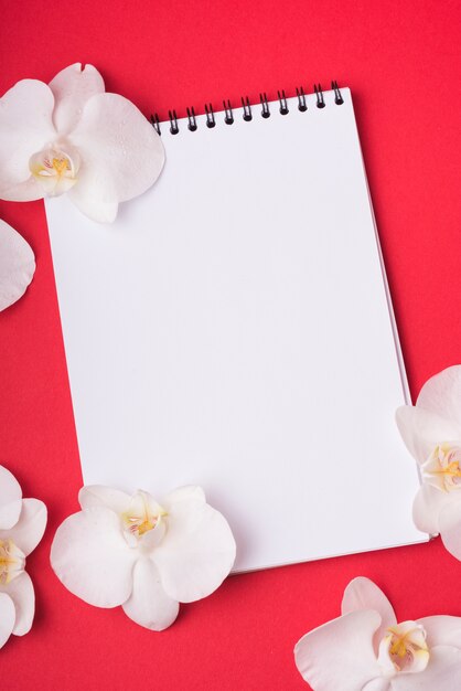 Concetto di fiori adorabili con notebook