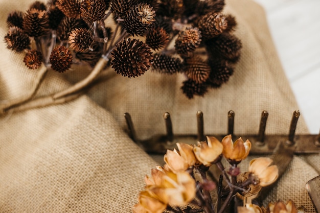 Concetto di giardinaggio con coni e coni di pino