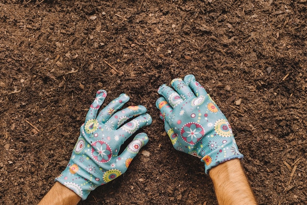 Concetto di giardinaggio con le mani sul suolo