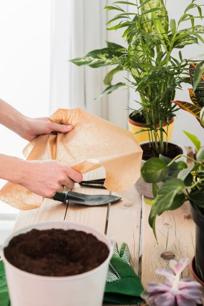 Concetto di giardinaggio con mani femminili