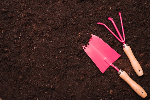 Concetto di giardinaggio con pala e rastrello sul terreno