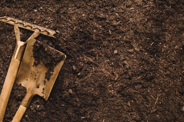 Concetto di giardinaggio con pala, rake e spazio sulla destra