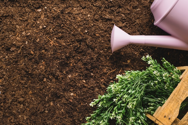 Concetto di giardinaggio con pentola d&#39;irrigazione e spazio a sinistra