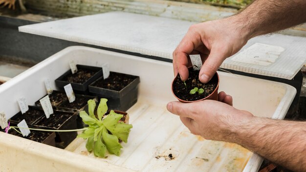 Concetto di giardinaggio con piantagione di uomo