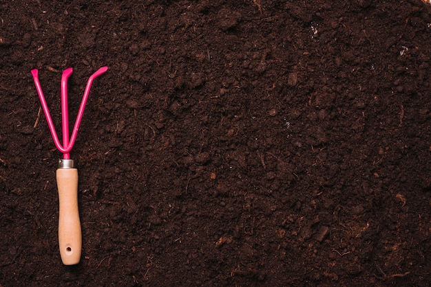 Concetto di giardinaggio con rastrello sul terreno