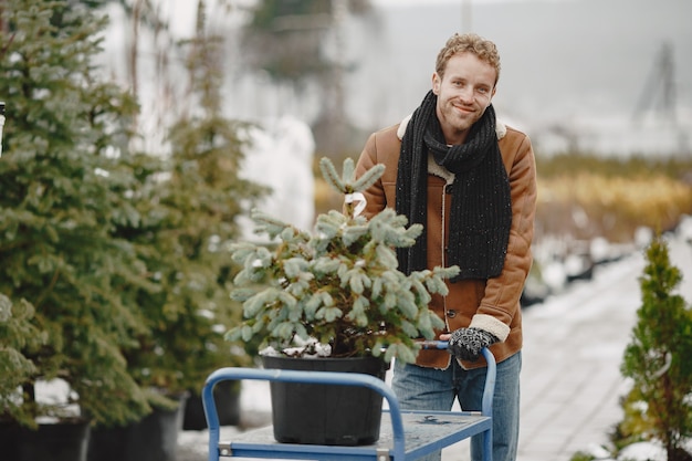 concetto di inverno. Ragazzo con un cappotto marrone. Venditore di albero di Natale.