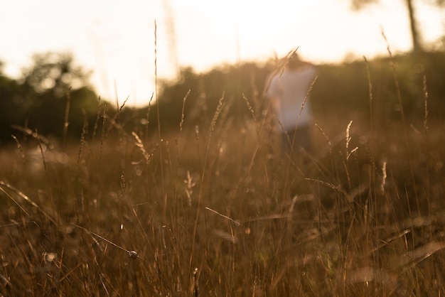 Concetto di libertà con i dettagli del primo piano in natura