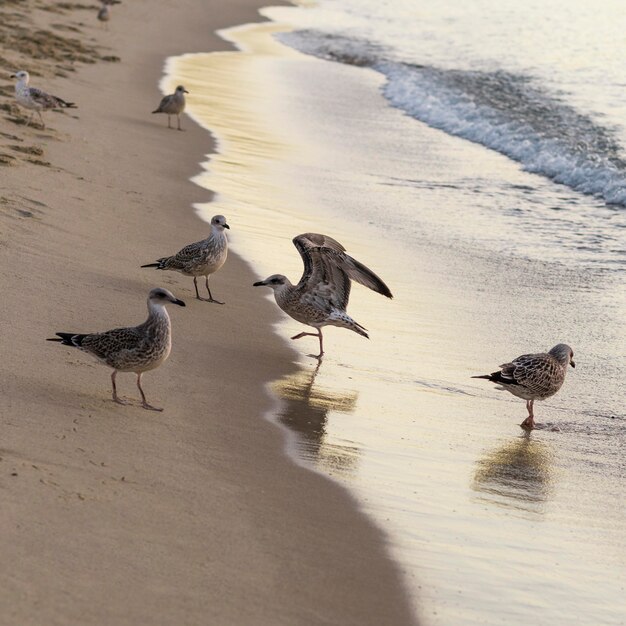 Concetto di lifestyle bellissima spiaggia