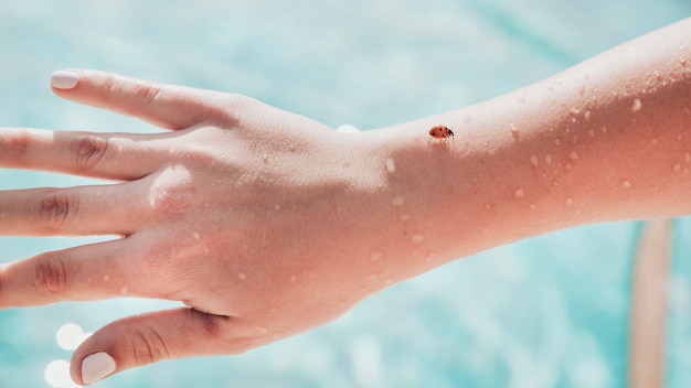 Concetto di piscina con coccinella sul braccio