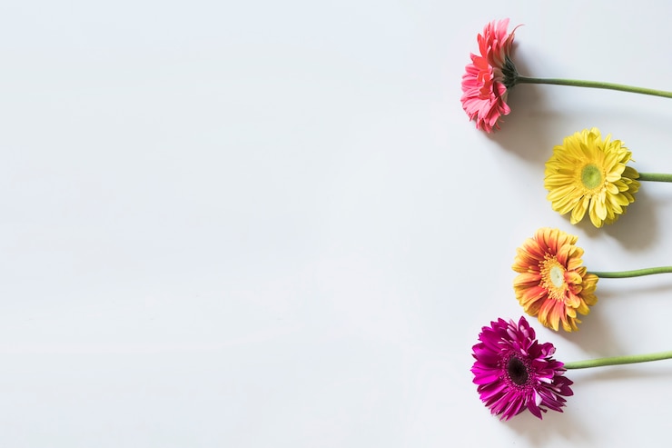 Foto gratuito concetto di primavera con fiori a destra