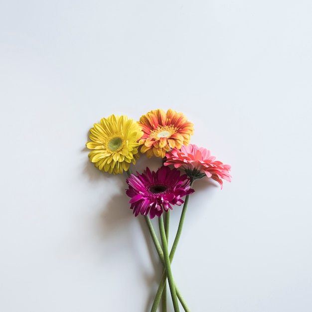 Concetto di primavera con quattro fiori