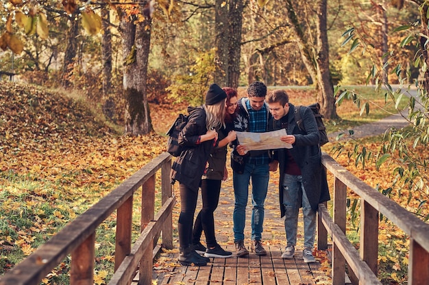 Concetto di viaggio, escursionismo, avventura. Gruppo di giovani amici che fanno un'escursione nella foresta variopinta di autunno, guardando la mappa e pianificando un'escursione.