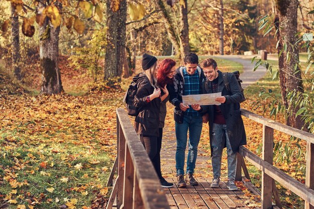 Concetto di viaggio, escursionismo, avventura. Gruppo di giovani amici che fanno un'escursione nella foresta variopinta di autunno, guardando la mappa e pianificando un'escursione.