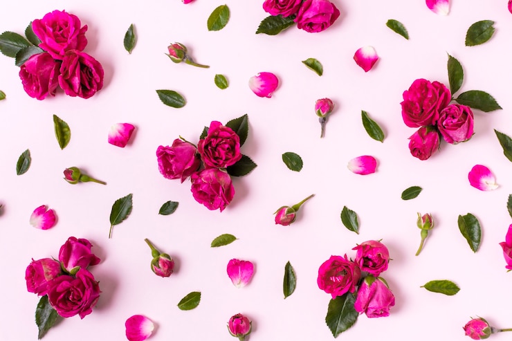 Foto gratuito concetto piacevole dei petali di rosa di vista superiore
