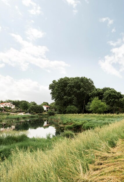 Concetto rurale con bellissimi alberi