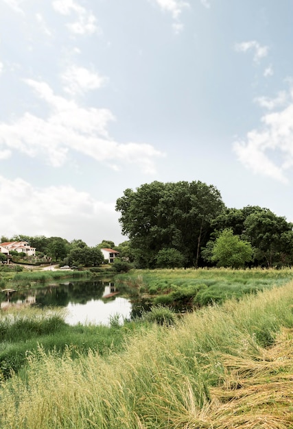 Concetto rurale con bellissimi alberi