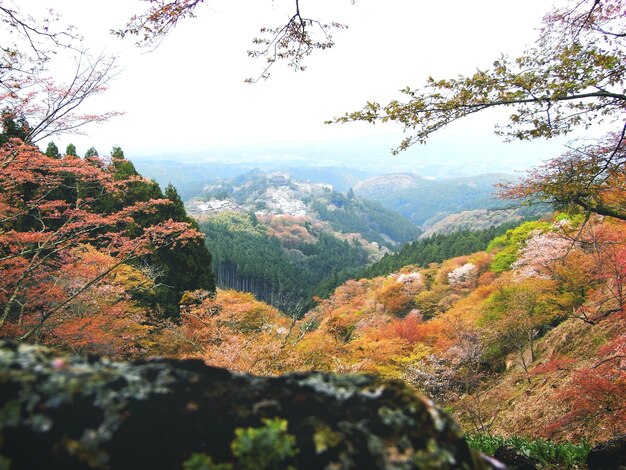 Concetto tranquillo di viaggio ambientale della montagna della gamma