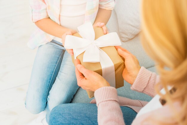 Confezione regalo nelle mani di madre e figlia