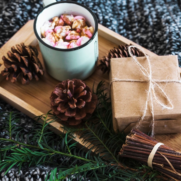 Coni e ramoscello vicino cioccolata calda presente sul vassoio