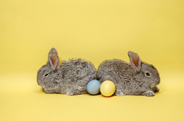 Conigli di coniglietto di pasqua con uova dipinte su sfondo giallo. Pasqua, animale, primavera, celebrazione e concetto di vacanza.